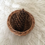 Mini bowl / Tiny willow basket
