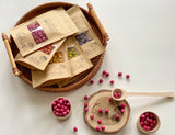 Carla’s Treasure Spring/Summer Sensory Chickpeas / Set of 5 medium bags