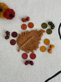 Carla’s Treasure Autumn Wooden Acorns / Set of 10