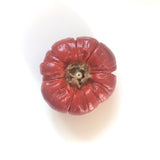Dried Pumpkin - 1 piece
