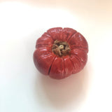 Dried Pumpkin - 1 piece