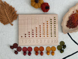 Carla’s Treasure Autumnal Sensory Chickpeas / Set of 5 small bags