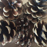 Natural Pine cone - 1 piece