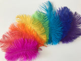 Large Sensory Feathers / Rainbow Feathers