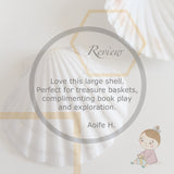 Natural large shells