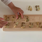 Number Tracing Board