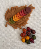 Carla’s Treasure Autumn Wooden Acorns / Set of 10