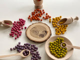 Carla’s Treasure Spring/Summer Sensory Chickpeas / Set of 5 small bags