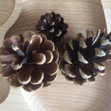 Natural Pine cone - 1 piece