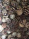 Natural Pine cone - 1 piece