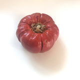Dried Pumpkin - 1 piece