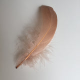 Large Sensory Goose Feather - 1 piece