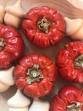 Dried Pumpkin - 1 piece