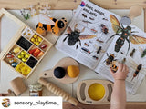 Wooden tenderiser | Playdough tools | Outlet/Clearance