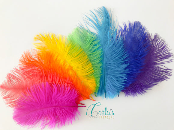 Large Sensory Feathers / Rainbow Feathers