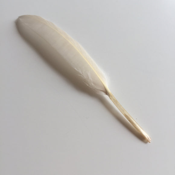 Small Goose Feather - 1 piece