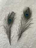 Large Sensory Peacock Feather - 1 piece