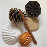 “Sense of smell and touch” sensory basket